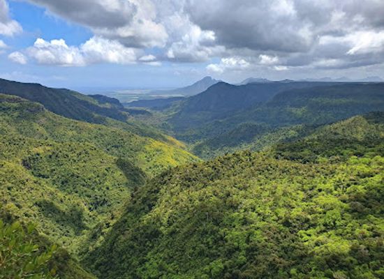 mauritius/chamarel-coloured-earth/landmark/black-river-gorges-national-park
