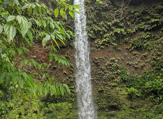 dominica/soufriere/landmark/spanny-falls
