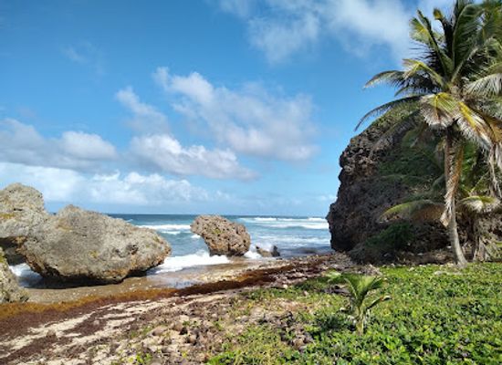 barbados/saint-joseph/landmark/the-soup-bowl