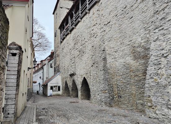 estonia/laane-viru-county/landmark/tower-behind-monks