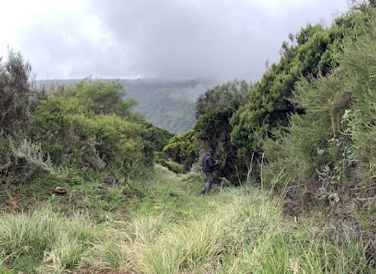 kenya/nyandarua-range/landmark/gura-falls