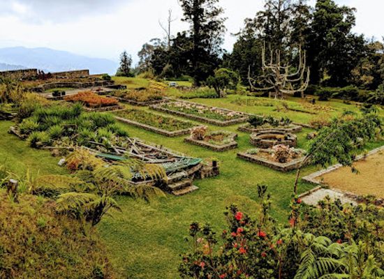 jamaica/st-thomas-lowlands/landmark/cinchona-botanical-gardens-ja