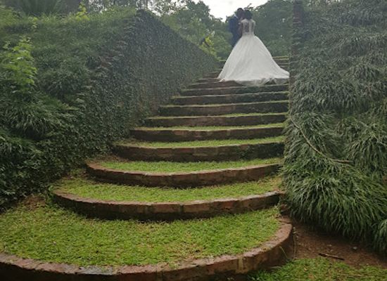 zimbabwe/harare/landmark/raintree-venue