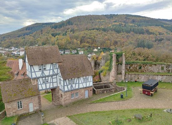 germany/hesse/landmark/hirschhorn-castle
