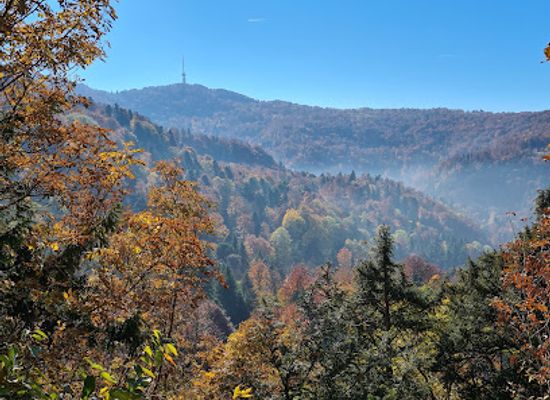 croatia/medvednica-mountain/landmark/500-horvat-s-steps