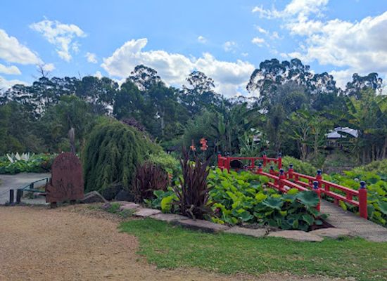 australia/yarra-valley/landmark/blue-lotus-water-garden