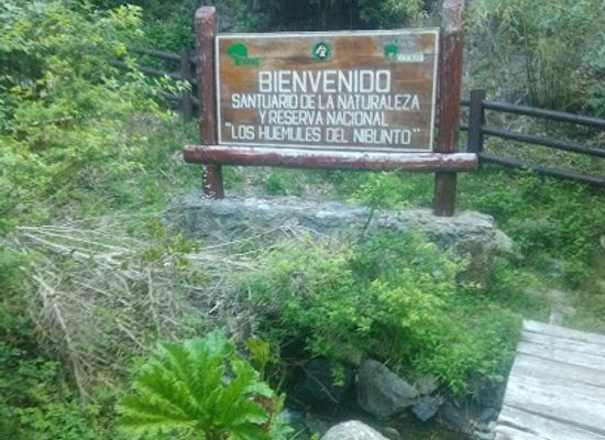 chile/nuble-region/landmark/national-reserve-los-huemules-de-niblinto