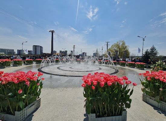 romania/pitesti/landmark/park-meadow-arges