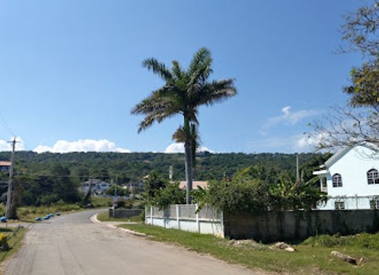 jamaica/pedro-plains/landmark/greenwood-great-house
