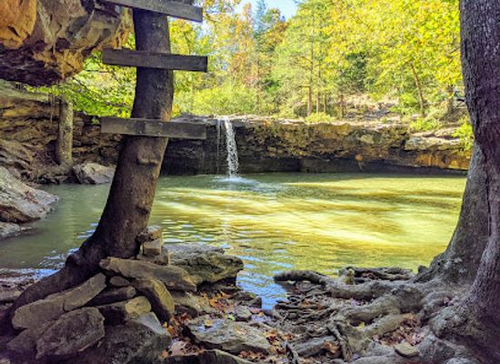 arkansas/ozark-national-forest/landmark/ozark-st-francis-national-forest