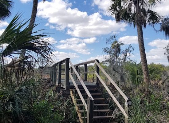 florida/big-bend/landmark/alafia-scrub-nature-preserve