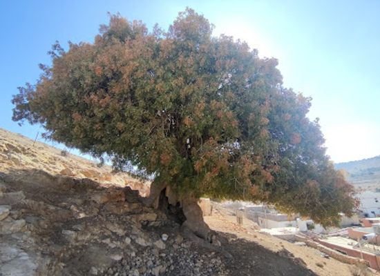 jordan/tafileh-highlands/landmark/albatm-alatlasii