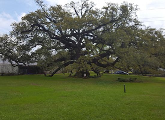 louisiana/lake-charles/landmark/imperial-calcasieu-museum