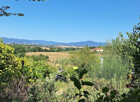 italy/val-di-chiana/landmark/az-agr-poggio-san-piero