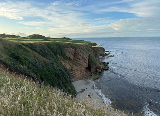 new-zealand/chatham-islands/landmark/tikitiki-hill-conservation-area
