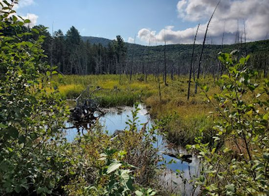 vermont/orleans-county/landmark/silvio-o-conte-national-fish-and-wildlife-refuge-nulhegan-basin-division