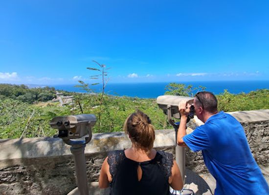 barbados/saint-thomas/landmark/stouteland-tours