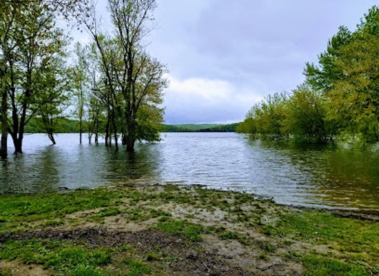 indiana/southeast-indiana/landmark/hoosier-national-forest