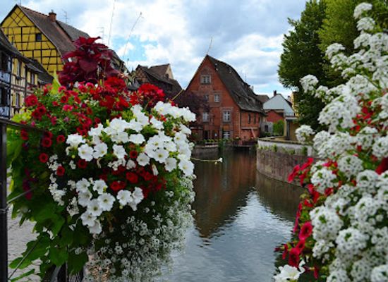 france/alsace/landmark/la-montagne-des-singes