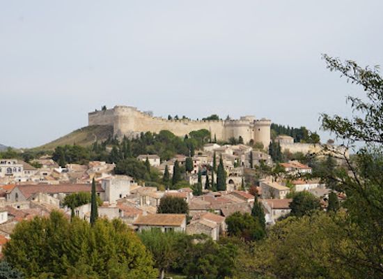 france/avignon/avignon-old-town/landmark/fort-saint-andre