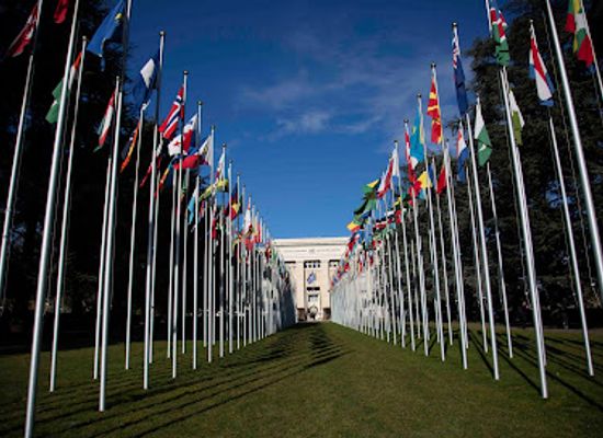 switzerland/geneva/landmark/un-geneva-alley-of-the-flags