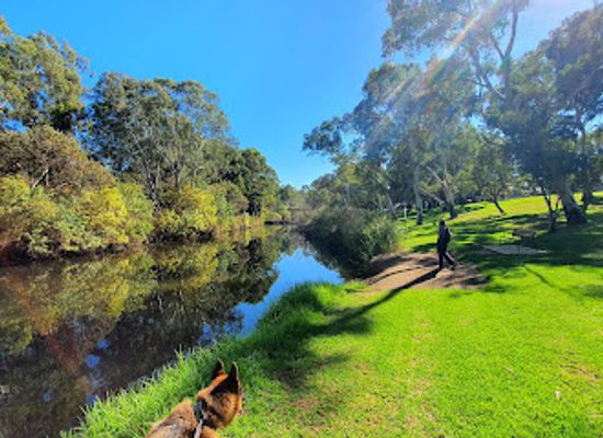 australia/adelaide/landmark/st-peters-billabong