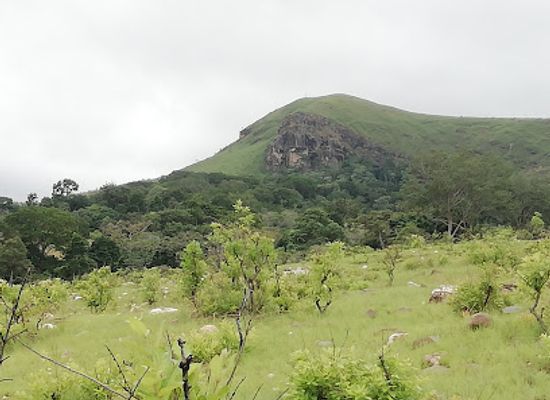 gabon/mayombe-forest/landmark/lope-national-park