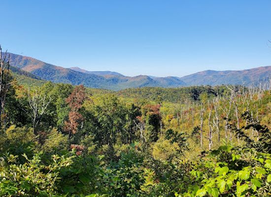 north-carolina/great-smoky-mountains/landmark/roaring-fork-interpretive-marker-1-overlook