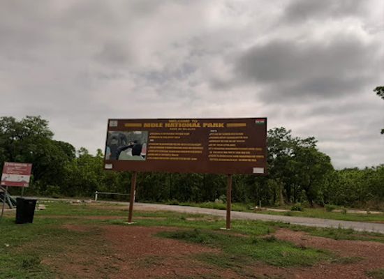 ghana/brong-ahafo/landmark/mole-national-park