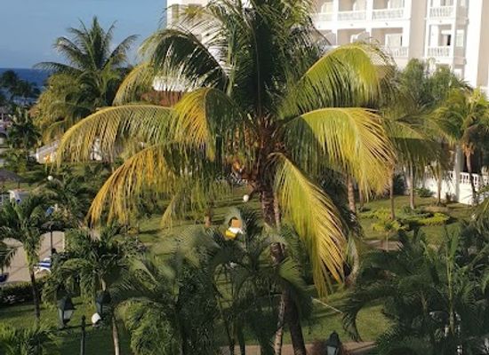 jamaica/runaway-bay-area/landmark/runaway-bay