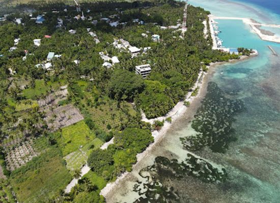 maldives/thoddoo/landmark/black-anchor-restaurant