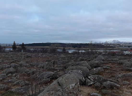 iceland/kopavogur/landmark/natturufraoistofa-kopavogs