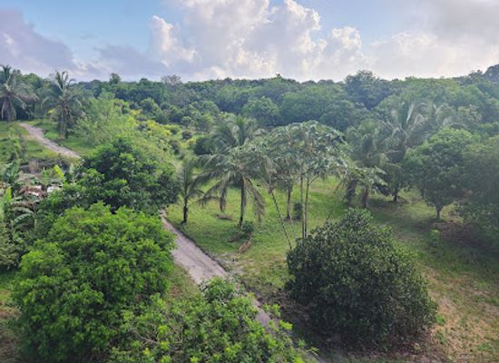 guyana/bartica/landmark/the-rs-farm-agri-eco-retreat-outdoor-event-space