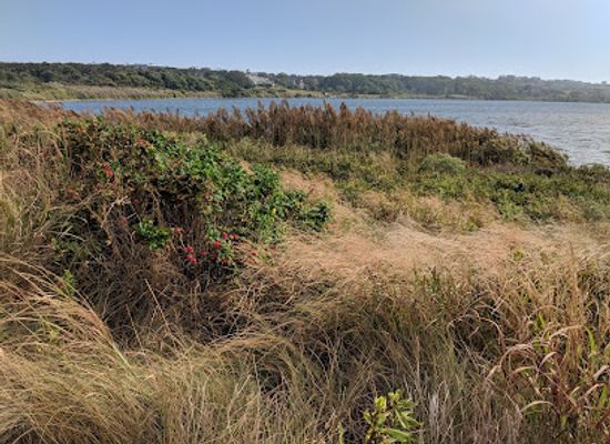 rhode-island/block-island/landmark/block-island-national-wildlife-refuge