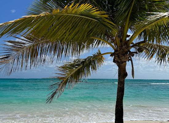 the-bahamas/exuma/landmark/flamingo-beach