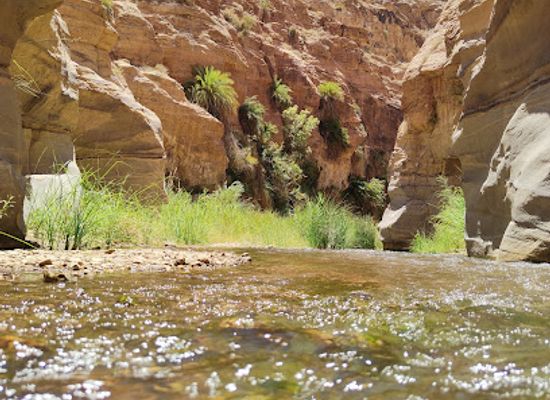 jordan/wadi-hasa/landmark/wadi-al-hasa