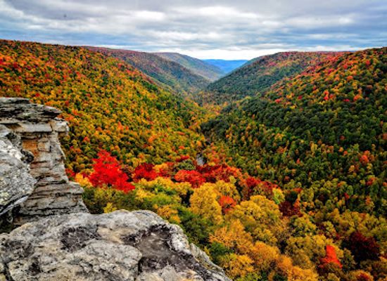 west-virginia/allegheny-highlands/landmark/lindy-point-trailhead