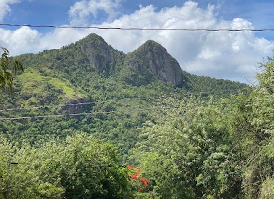 puerto-rico/sierra-de-cayey/landmark/cerro-las-tetas