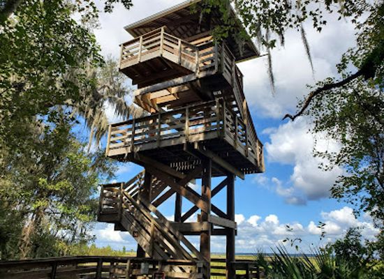 florida/gainesville/landmark/paynes-prairie-preserve-state-park