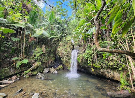 puerto-rico/yunque-national-forest/landmark/juan-diego-falls