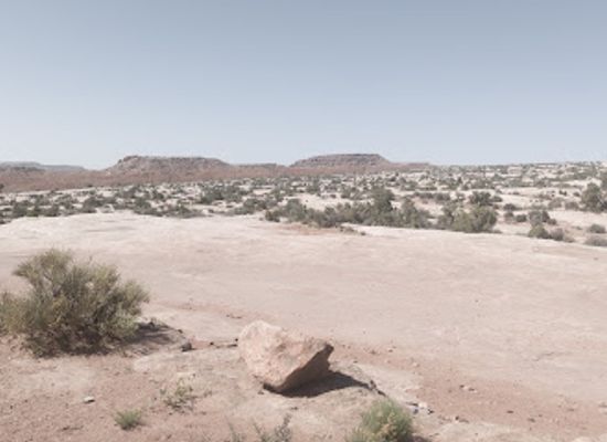 utah/canyonlands/landmark/willow-springs-dinosaur-tracks