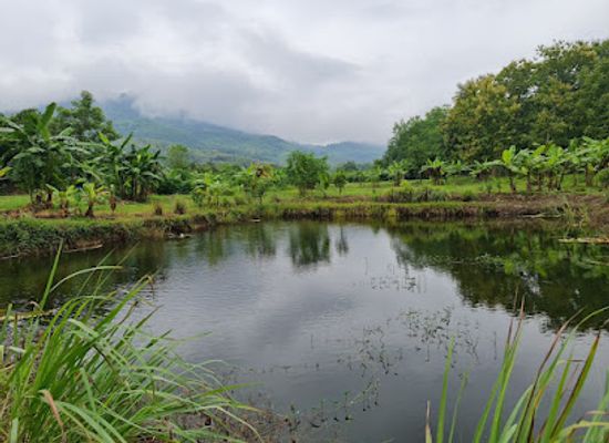laos/southern-laos/landmark/pha-khao-lao-garden