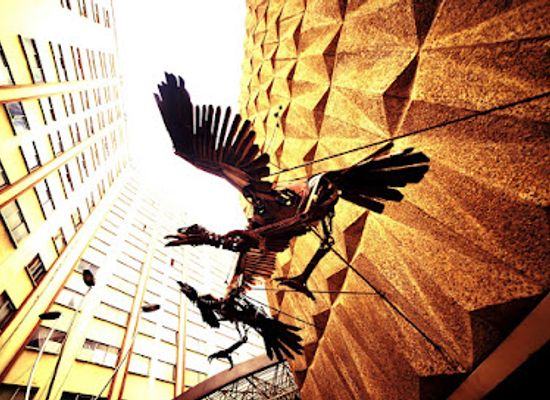 bolivia/yungas/landmark/municipal-house-of-culture-franz-tamayo
