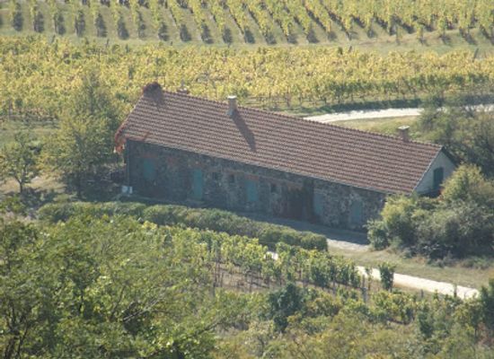 hungary/tokaj-wine-region/landmark/kopasz-hill-tokaj