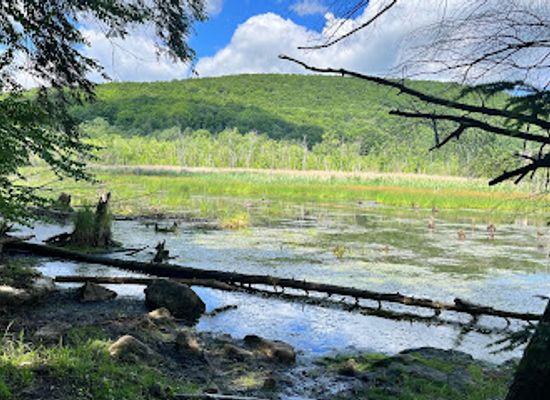 canada/eastern-townships/landmark/jean-paul-forand-park