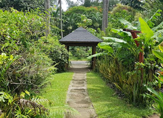 cook-islands/ngatangiia/landmark/maire-nui-gardens-and-cafe