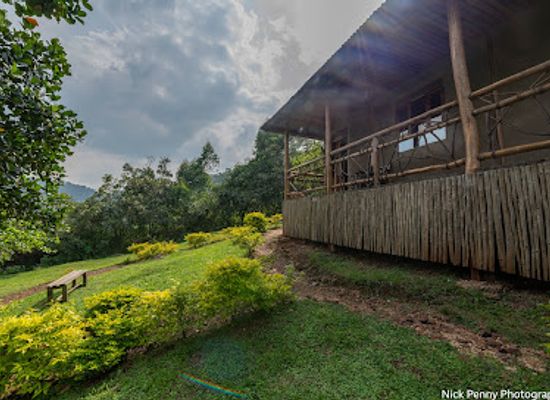 uganda/bwindi-impenetrable-national-park/landmark/ctph-gorilla-conservation-camp