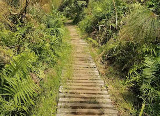 uganda/kibale-national-park/landmark/kafred