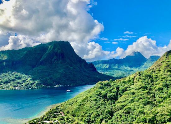 french-polynesia/moorea/landmark/franckyfranck-tours-moorea