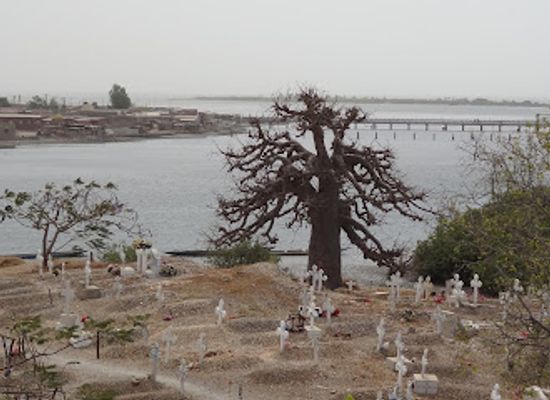 senegal/joal-fadiouth/landmark/protected-area-in-fadiouth